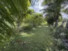 Lot 2 Sheahans Road, Long Pocket, Qld 4850-Image