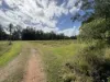 Lot 2 Sheahans Road, Long Pocket, Qld 4850-Image