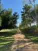 Lot 2 Sheahans Road, Long Pocket, Qld 4850-Image