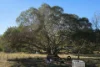 Lot 2 Tunnel Road, Boolboonda, Qld 4671-Image