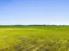 Lot 20 Hermans Lane, Pimlico, NSW 2478-Image