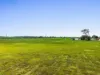 Lot 20 Hermans Lane, Pimlico, NSW 2478-Image