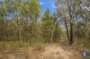 Lot 21 Stoney Hill Road, Cowra, NSW 2794-Image