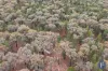 Lot 21 Stoney Hill Road, Cowra, NSW 2794-Image