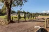 Lot 222 Korijekup Avenue, Harvey, WA 6220-Image