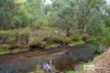 Lot 24 Shenton Road, Gwindinup, WA 6237-Image