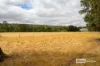 Lot 24 Shenton Road, Gwindinup, WA 6237-Image
