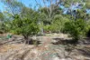 Lot 34 Fisheries Road, Myrup, WA 6450-Image