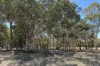Lot 49 Endeavour Estate - Bindoon, Bindoon, WA 6502-Image