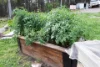 Lot 51 Brooman Road, Morton, NSW 2538-Image