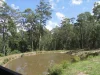 Lot 51 Brooman Road, Morton, NSW 2538-Image