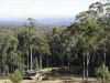Lot 51 Brooman Road, Morton, NSW 2538-Image