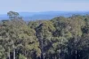Lot 51 Brooman Road, Morton, NSW 2538-Image