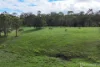 Lot 7 Willi Willi Road, Temagog, NSW 2440-Image
