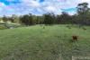 Lot 7 Willi Willi Road, Temagog, NSW 2440-Image