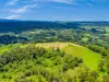 Lot B / 1233 Jiggi Road, Georgica, NSW 2480-Image