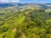Lot B / 1233 Jiggi Road, Georgica, NSW 2480-Image