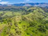 Lot B / 1233 Jiggi Road, Georgica, NSW 2480-Image