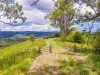 Lot B / 1233 Jiggi Road, Georgica, NSW 2480-Image