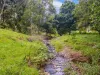 Lot B / 1233 Jiggi Road, Georgica, NSW 2480-Image