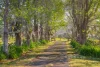 "McLennans Falls"/11 Hartys Plains Road, Hartys Plains Via, Wauchope, NSW 2446-Image