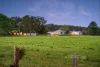 "McLennans Falls"/11 Hartys Plains Road, Hartys Plains Via, Wauchope, NSW 2446-Image