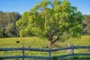 "McLennans Falls"/11 Hartys Plains Road, Hartys Plains Via, Wauchope, NSW 2446-Image