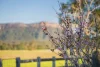 "McLennans Falls"/11 Hartys Plains Road, Hartys Plains Via, Wauchope, NSW 2446-Image