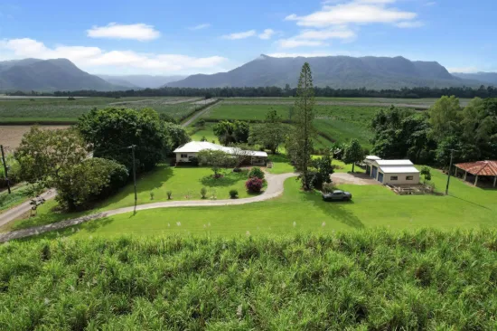 106 Cantamessas Road, Abergowrie QLD 4850-Image