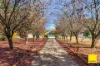 11 Elmslea Drive, Bungendore NSW 2621-Image
