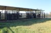 1327 Emmet Road, Blackall QLD 4472-Image