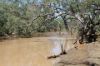 1327 Emmet Road, Blackall QLD 4472-Image