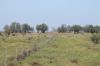 1327 Emmet Road, Blackall QLD 4472-Image