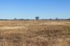 1327 Emmet Road, Blackall QLD 4472-Image