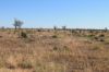 1327 Emmet Road, Blackall QLD 4472-Image