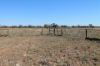 1327 Emmet Road, Blackall QLD 4472-Image