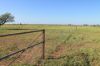 1327 Emmet Road, Blackall QLD 4472-Image