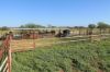 1327 Emmet Road, Blackall QLD 4472-Image