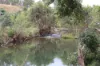 14 Dundee Road, Ambrose QLD 4695-Image