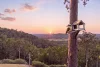 163 Beechmont Road, Advancetown QLD 4211-Image