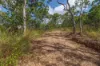 168 Probert Road, Bambaroo QLD 4850-Image