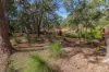 168 Probert Road, Bambaroo QLD 4850-Image
