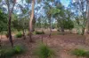 168 Probert Road, Bambaroo QLD 4850-Image