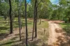 168 Probert Road, Bambaroo QLD 4850-Image
