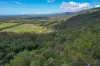 168 Probert Road, Bambaroo QLD 4850-Image