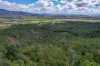 168 Probert Road, Bambaroo QLD 4850-Image