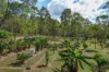 168 Probert Road, Bambaroo QLD 4850-Image