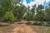 168 Probert Road, Bambaroo QLD 4850-Image