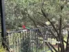 188 Leathers Road, Boolboonda QLD 4671-Image