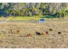 190, Bungundarra QLD 4703-Image